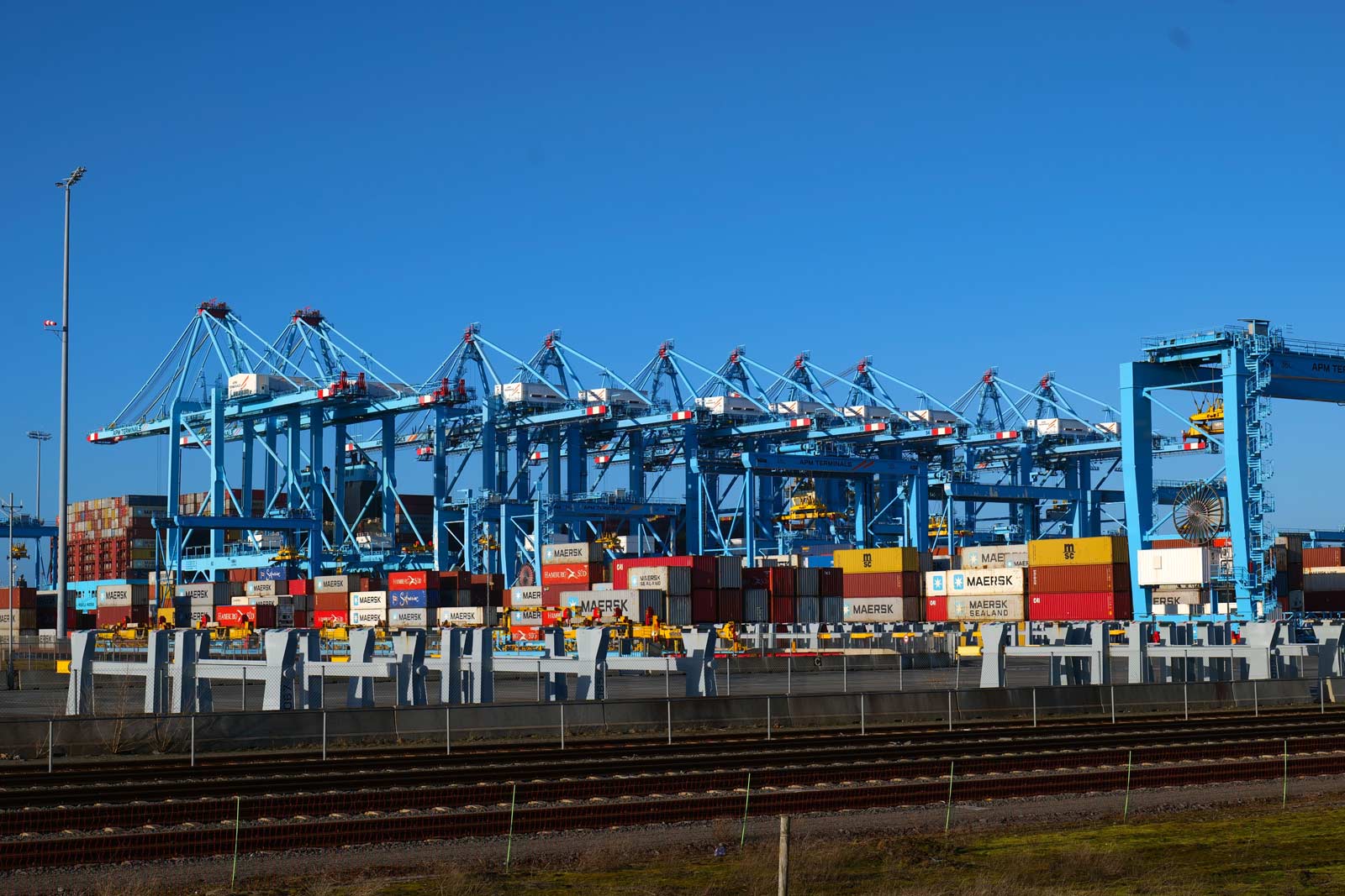 your-opinion-about-apm-terminals-maasvlakte-ii