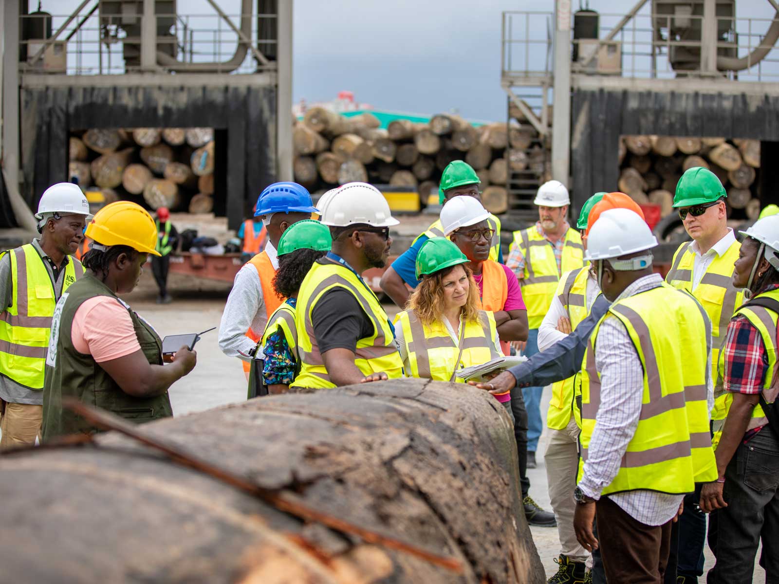 log-exports-monrovia