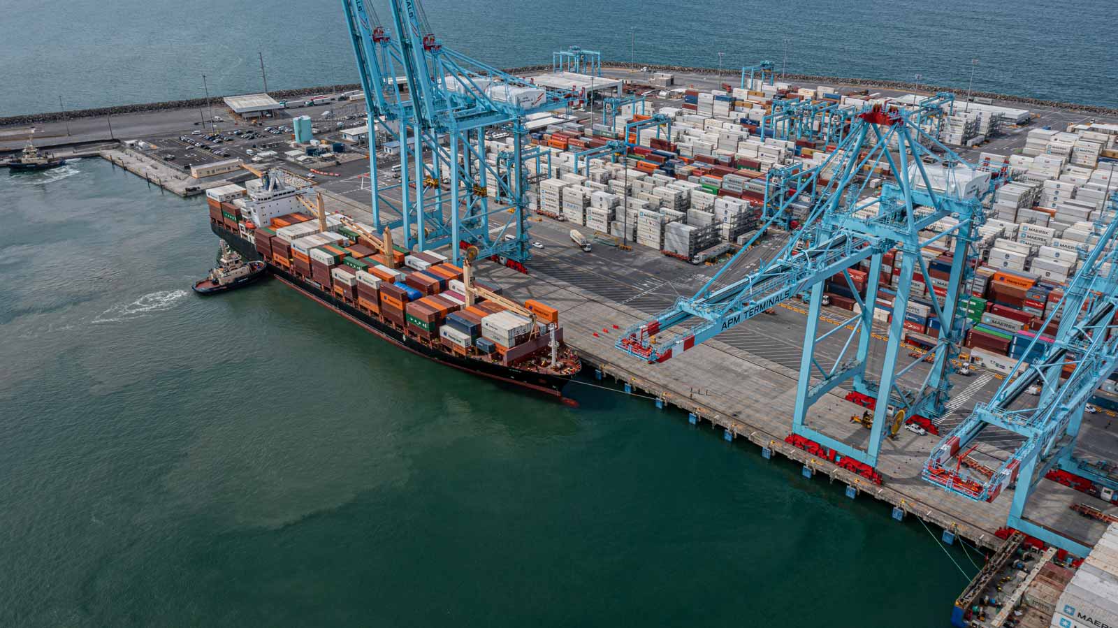 apm-terminals-moin-2022