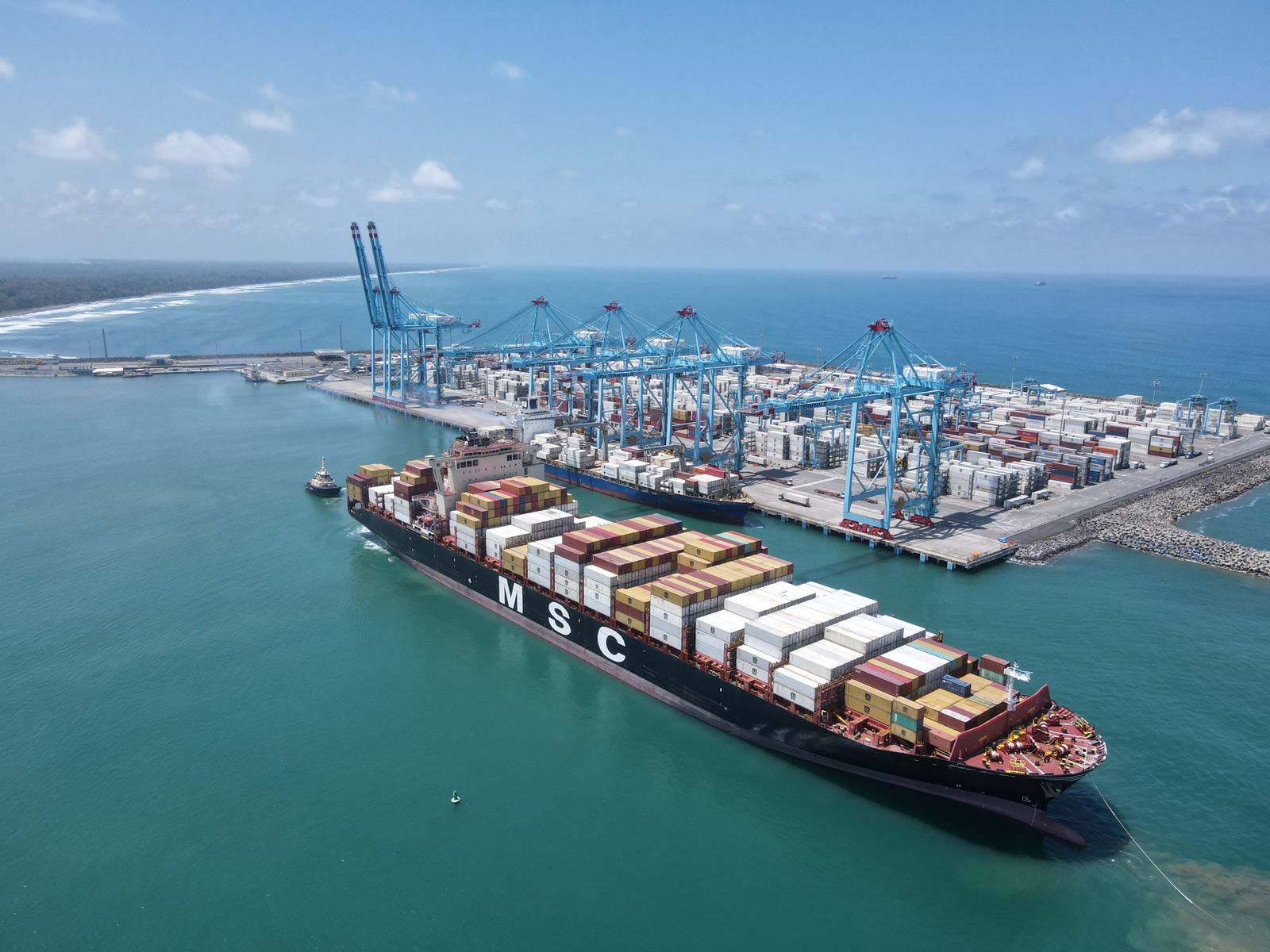 msc-elma