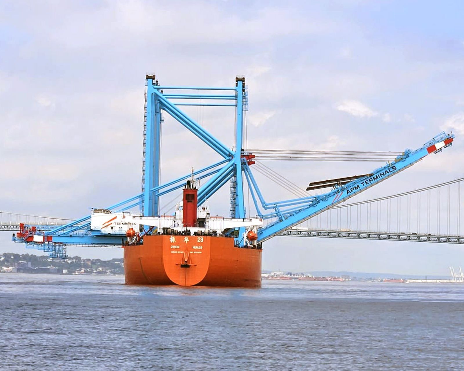 cranes-arrive-port-elizabeth