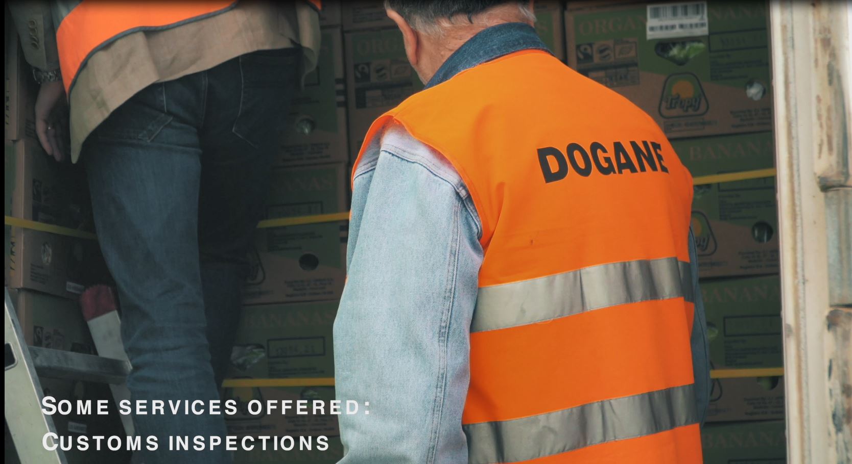 customs-inspection-1