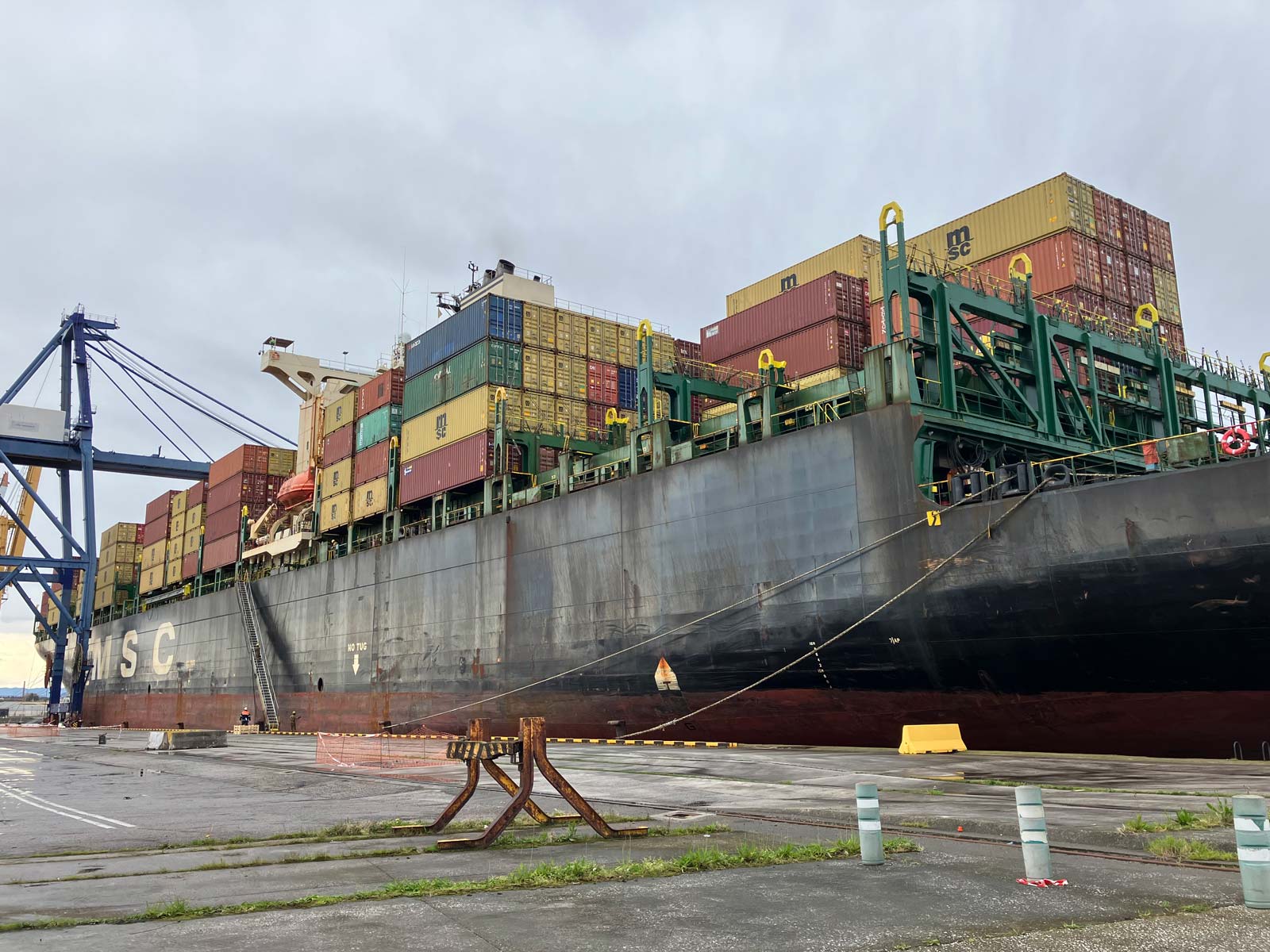 msc-katyayni