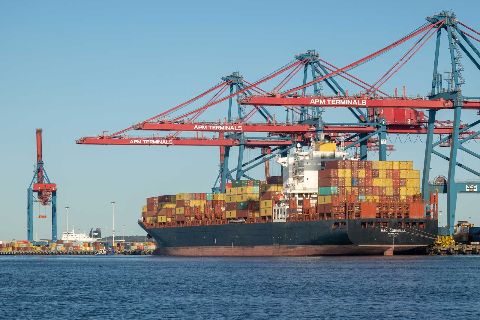 msc-cornelia-1600