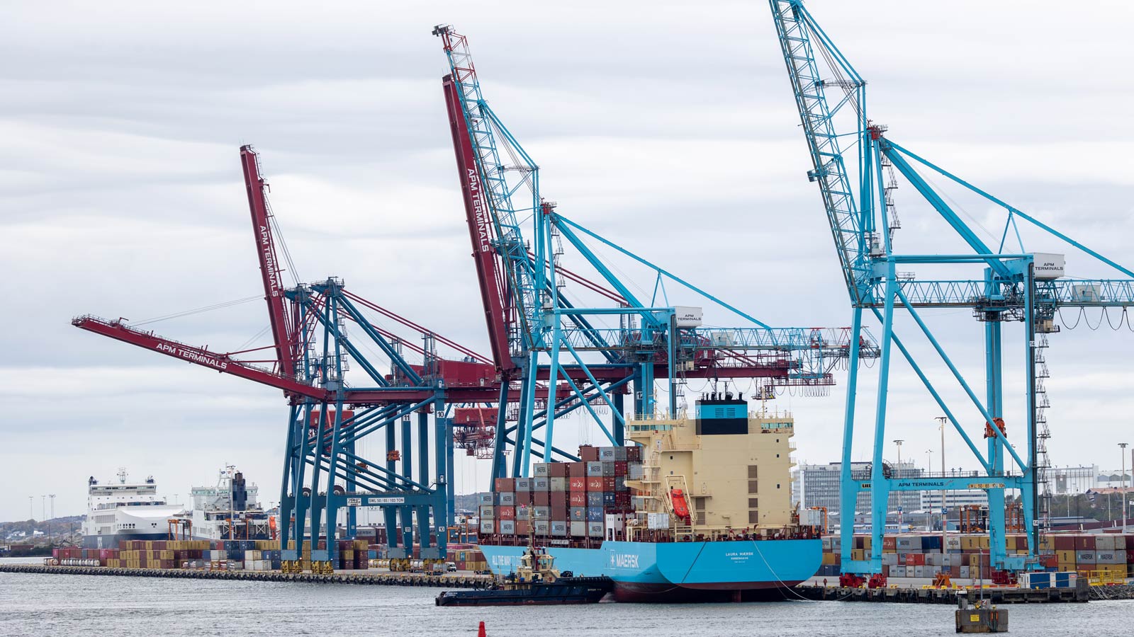 laura-maersk-1600